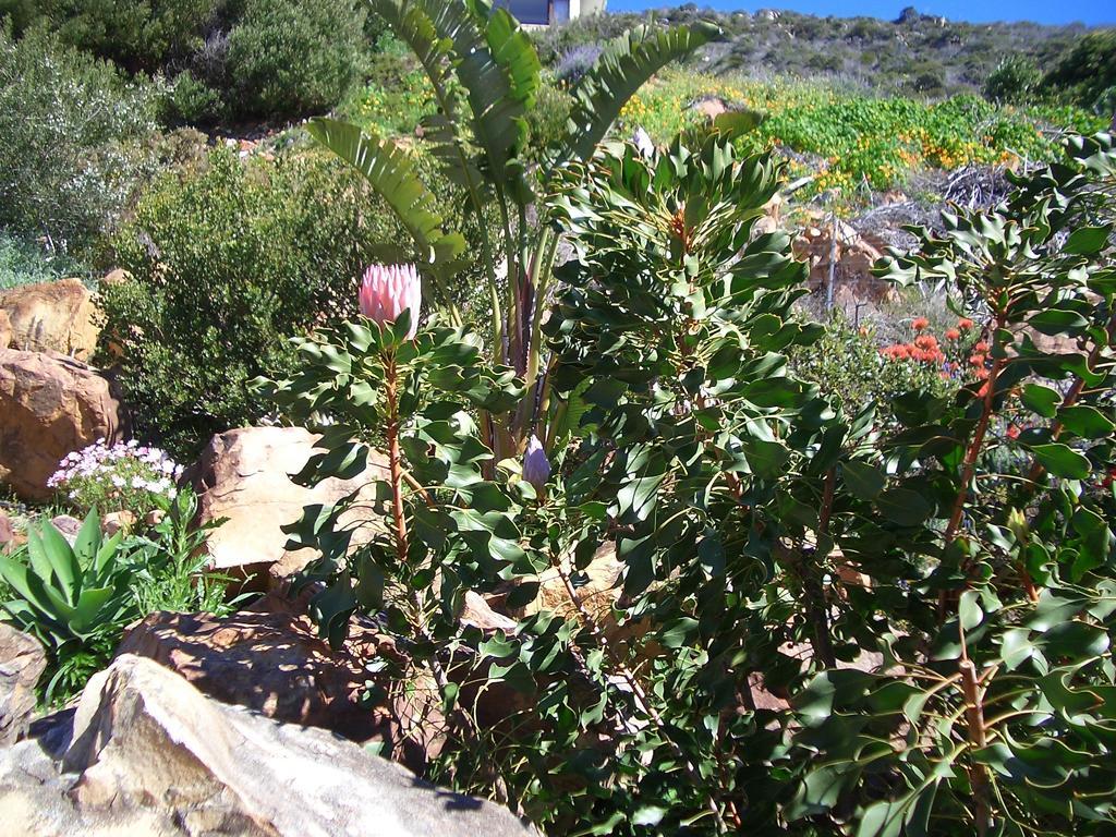 A Place In Thyme Fish Hoek Extérieur photo